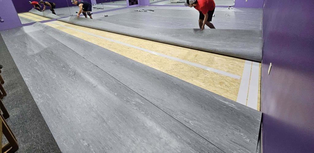 All About Springstep IV Plus™